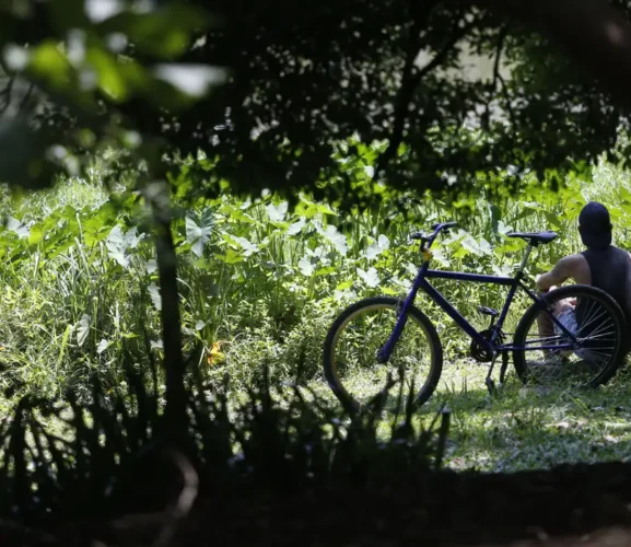 Outono começa com previsão de temperaturas acima de média