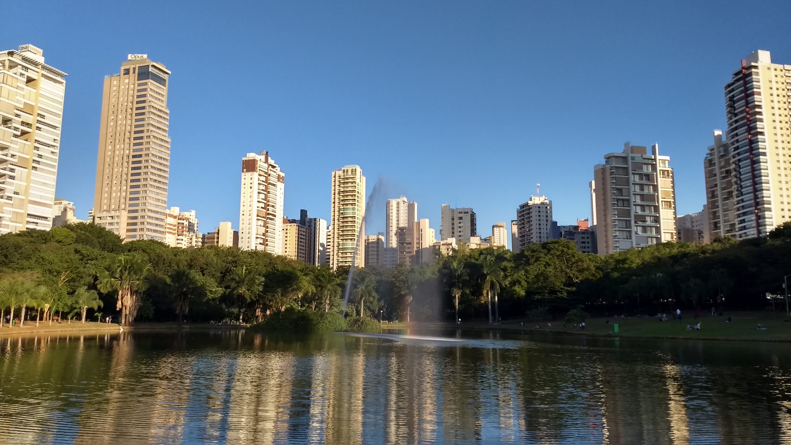 Agenda Cultural: shows, feira de vinil e brechós