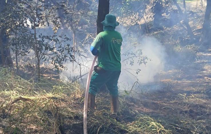 Período de seca aumenta risco de queimadas em Goiânia; Amma intensifica ações preventivas