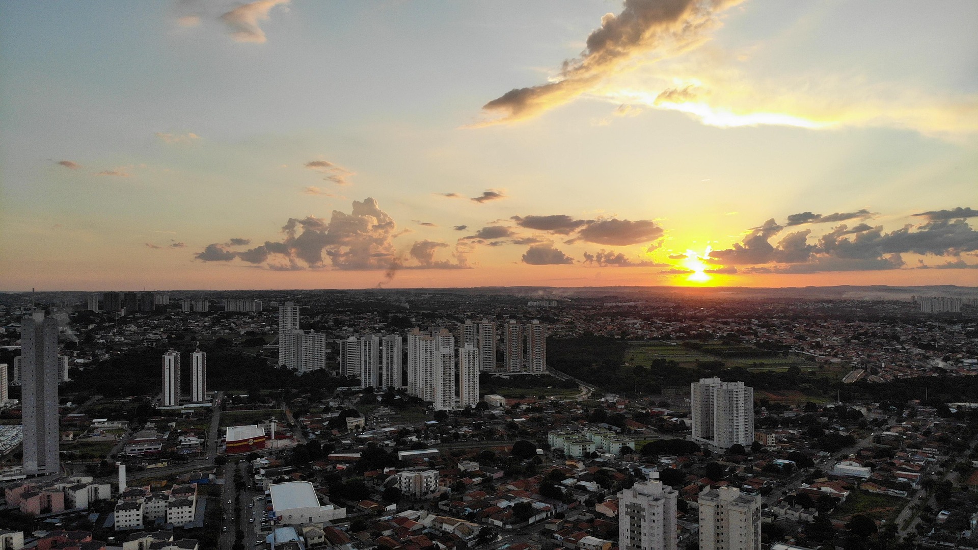 Festas, exposições e adoção movimentam o fim de semana em Goiânia
