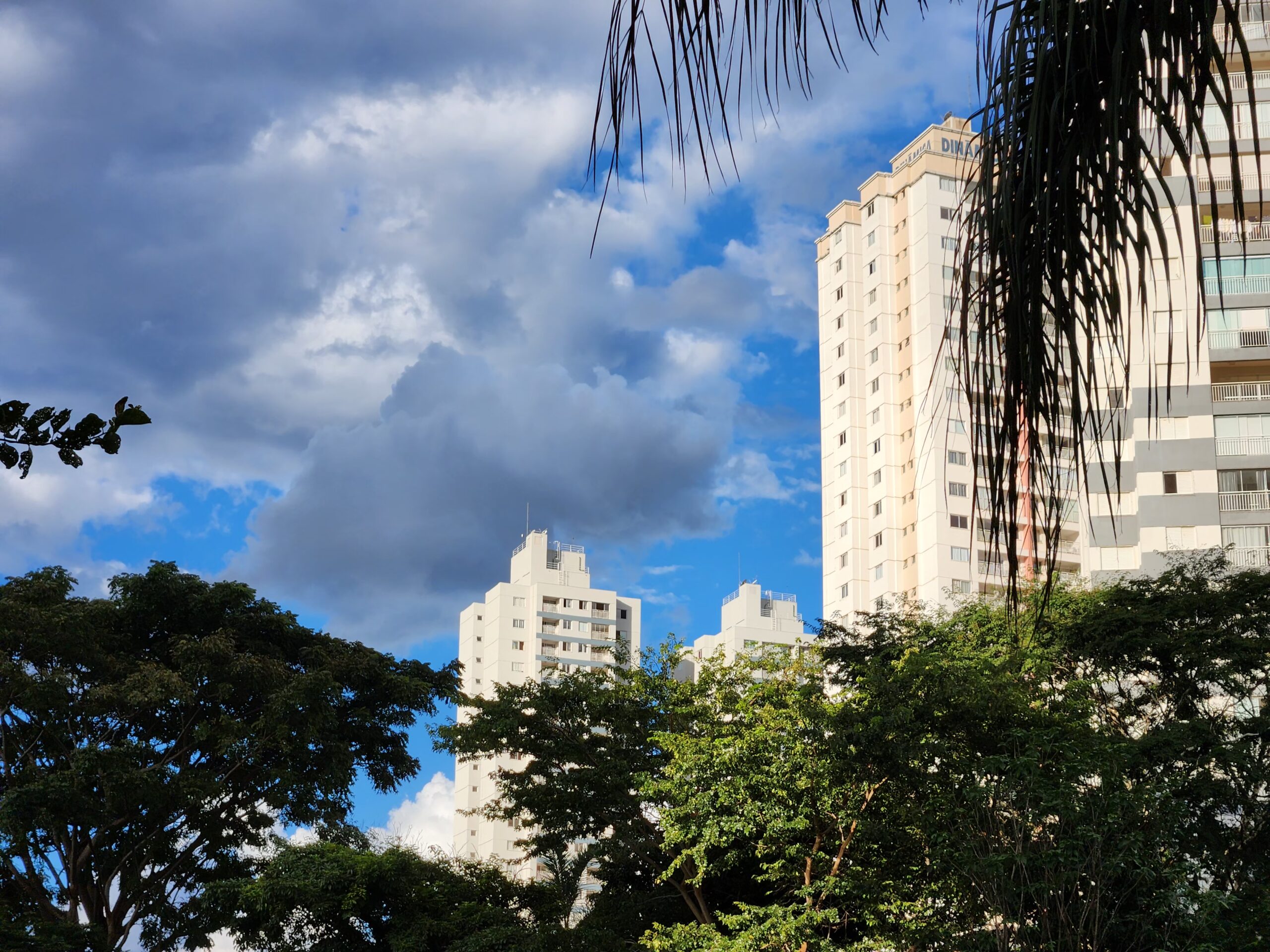 Cinema, música e tradição tomam conta de Goiânia na primeira semana de junho