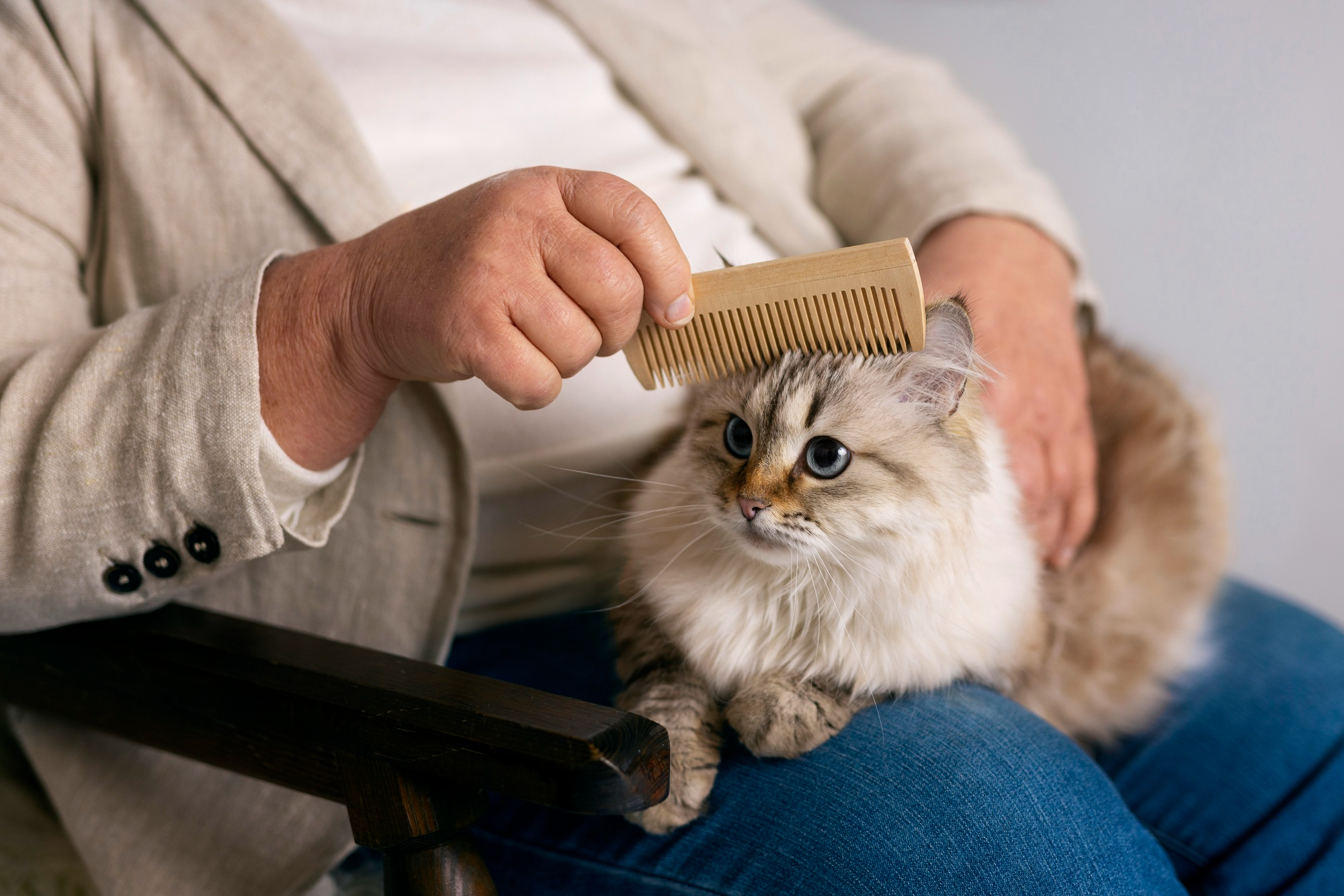 Casa limpa, mesmo com pets: 7 dicas  para controlar pelos
