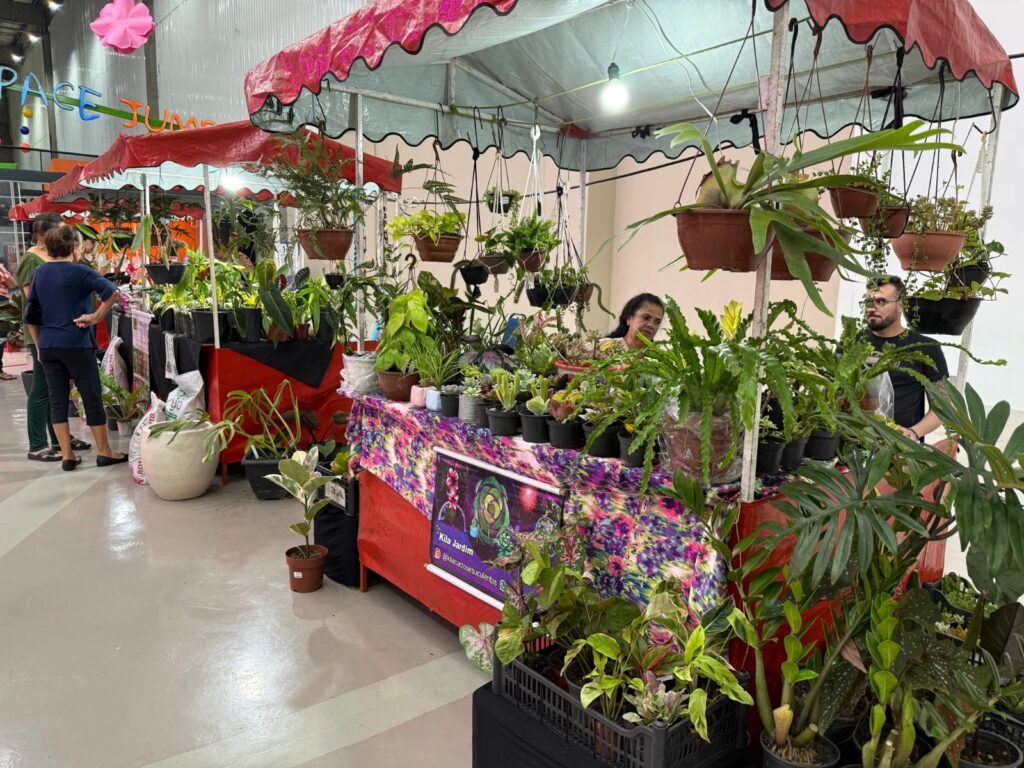 Bazar de plantas em Goiânia tem entrada gratuita, preços a partir de R$ 10 e brindes