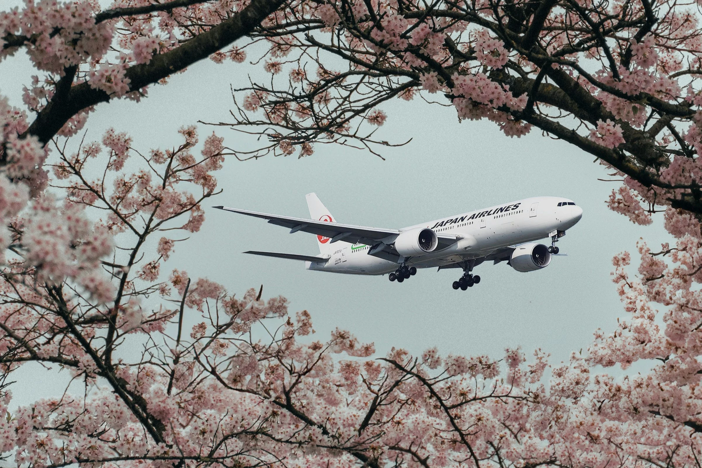 Como aviões evitam colisões no ar: entenda como funciona o TCAS