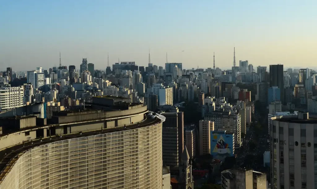 Vidraças de prédios ameaçam milhares de aves nas cidades