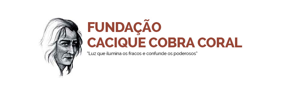 Fundação diz atuar para evitar tragédias climáticas com a ajuda de um espírito indígena