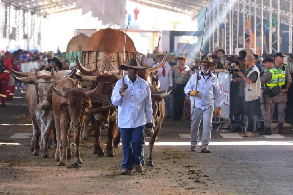 A Romaria de Trindade, uma demonstração de fé