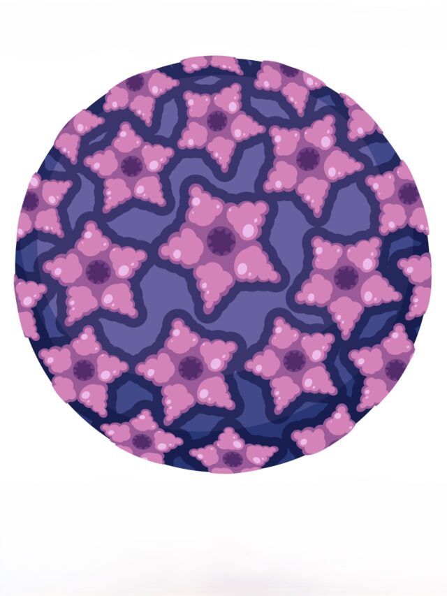HPV: o que é e como prevenir