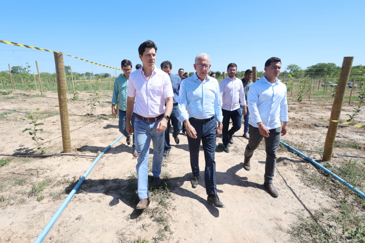 Assembleia de Deus na vice de Daniel: bom para ambos, melhor para Caiado