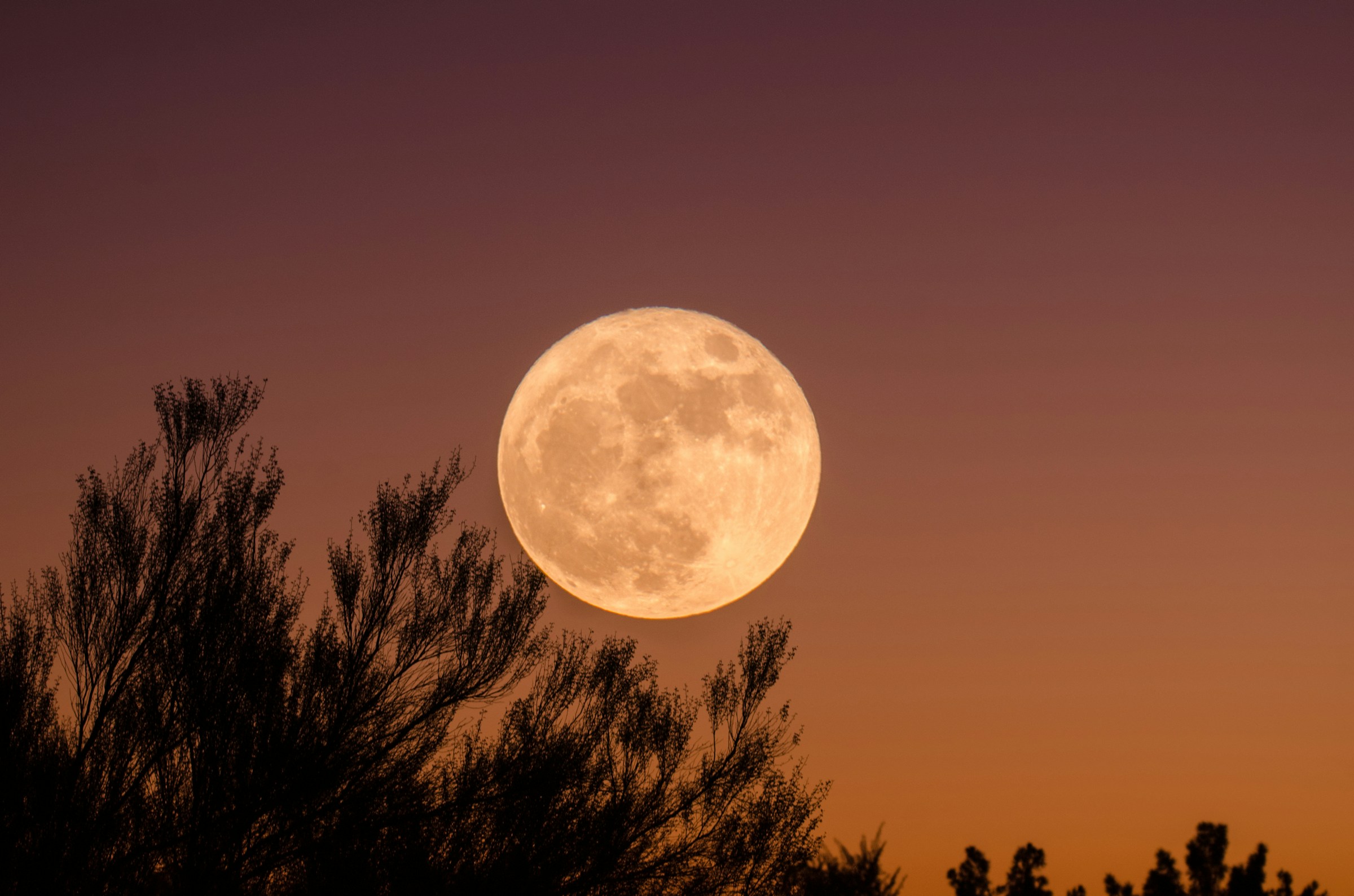 Lua do Veado ilumina o céu nesta quinta