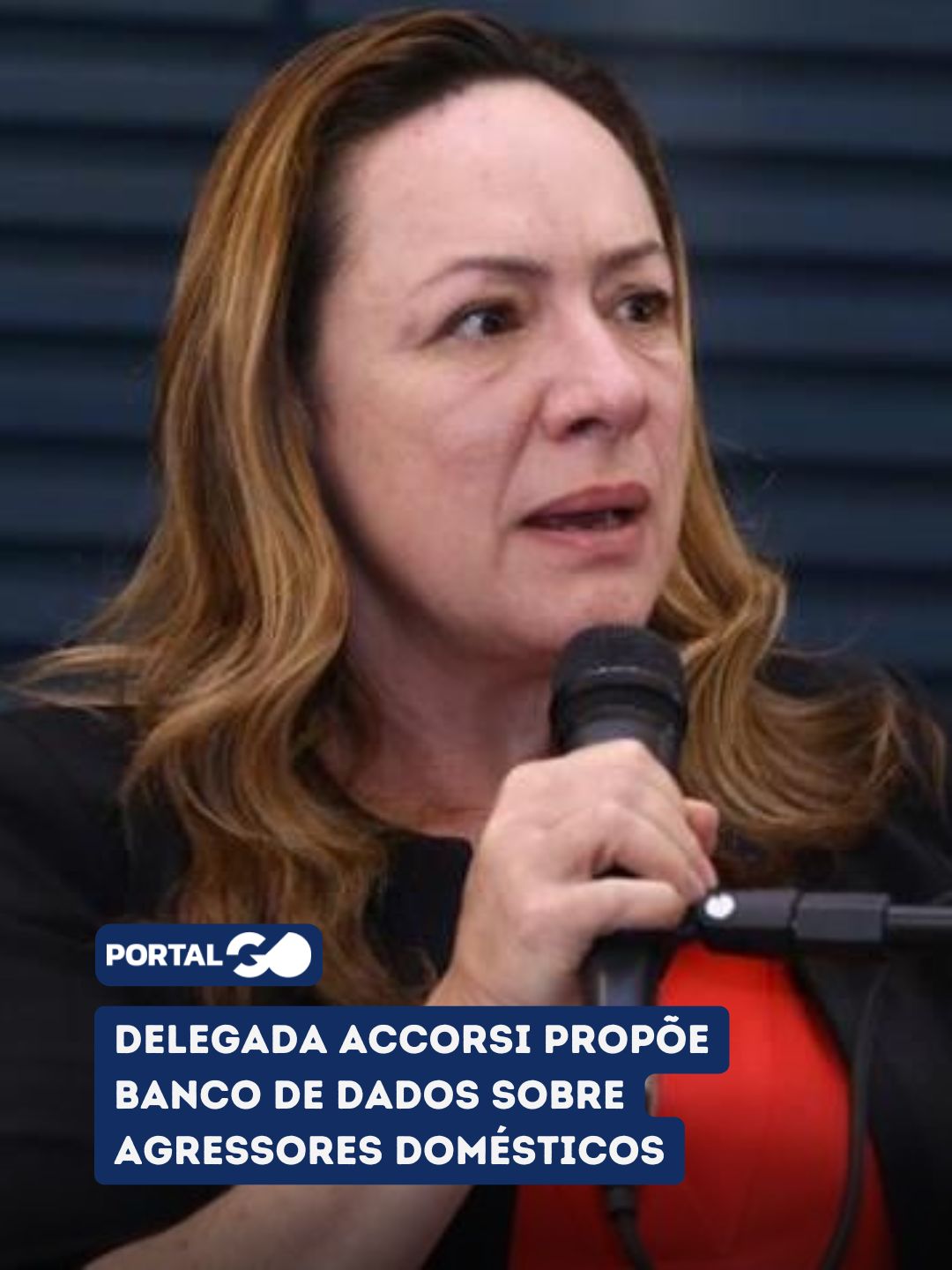 Delegada Accorsi propõe banco de dados sobre agressores domésticos