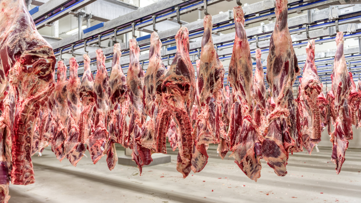 Tarifa EUA não barateará carne no Brasil, dizem analistas