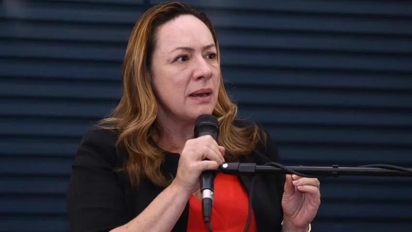 Delegada Accorsi propõe banco de dados sobre agressores domésticos