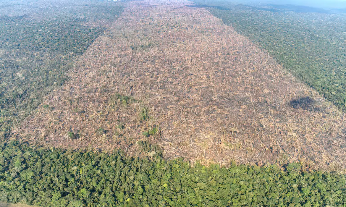 Desmatamento está ligado a 28 mil mortes por calor todos os anos, aponta estudo