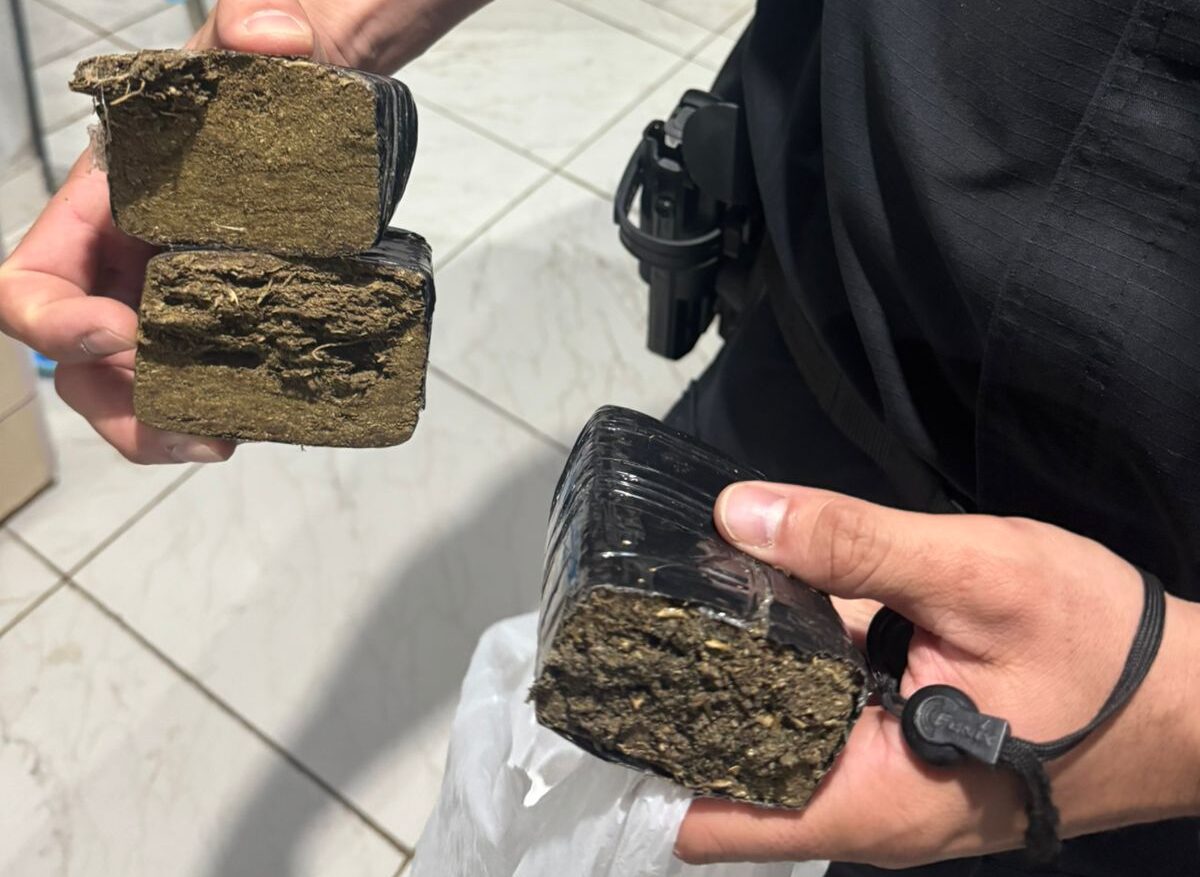 Polícia deflagra operação contra tráfico interestadual em Goiás e mais três estados