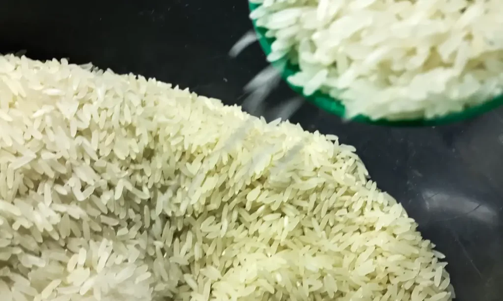 Governo libera R$ 300 mi para compra de arroz de produtores