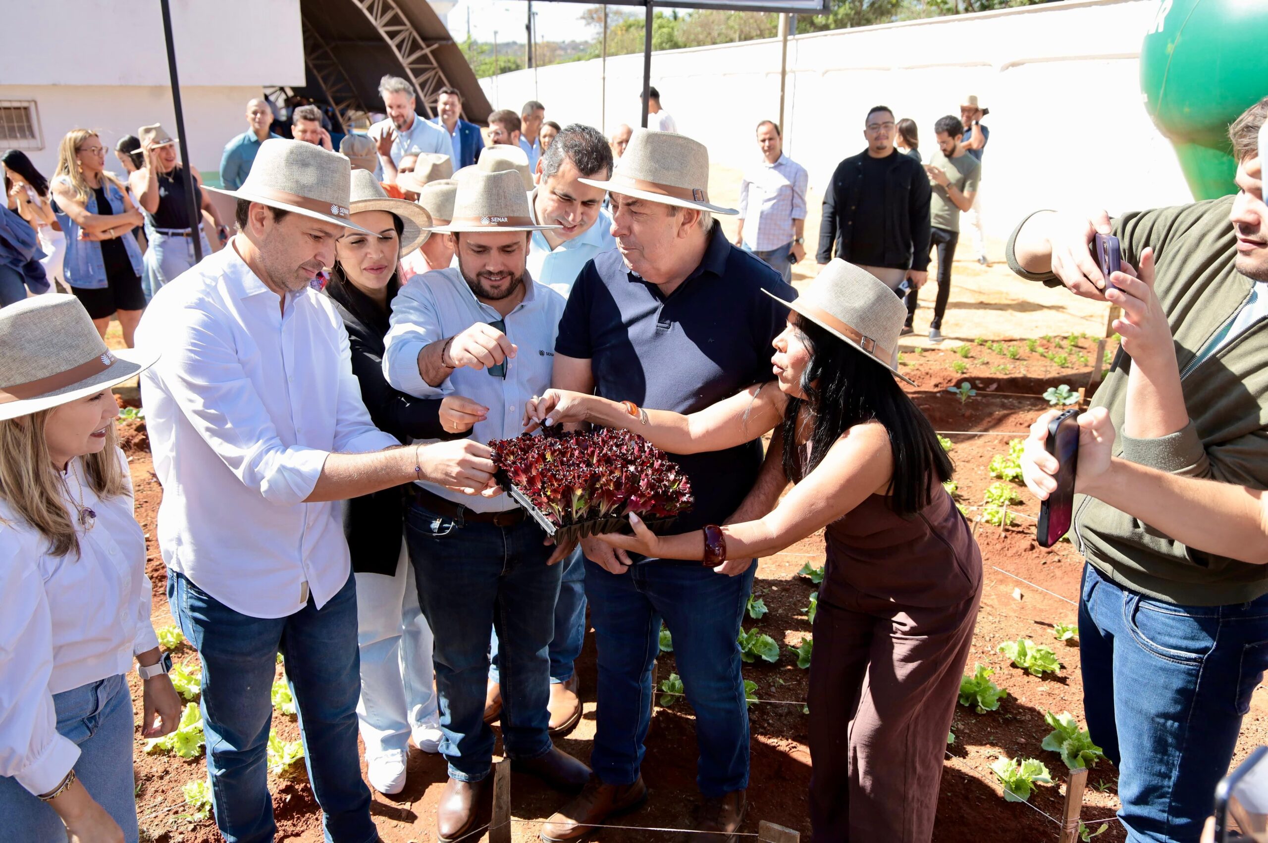 Aparecida lança projeto para transformar áreas ociosas em hortas comunitárias e escolares