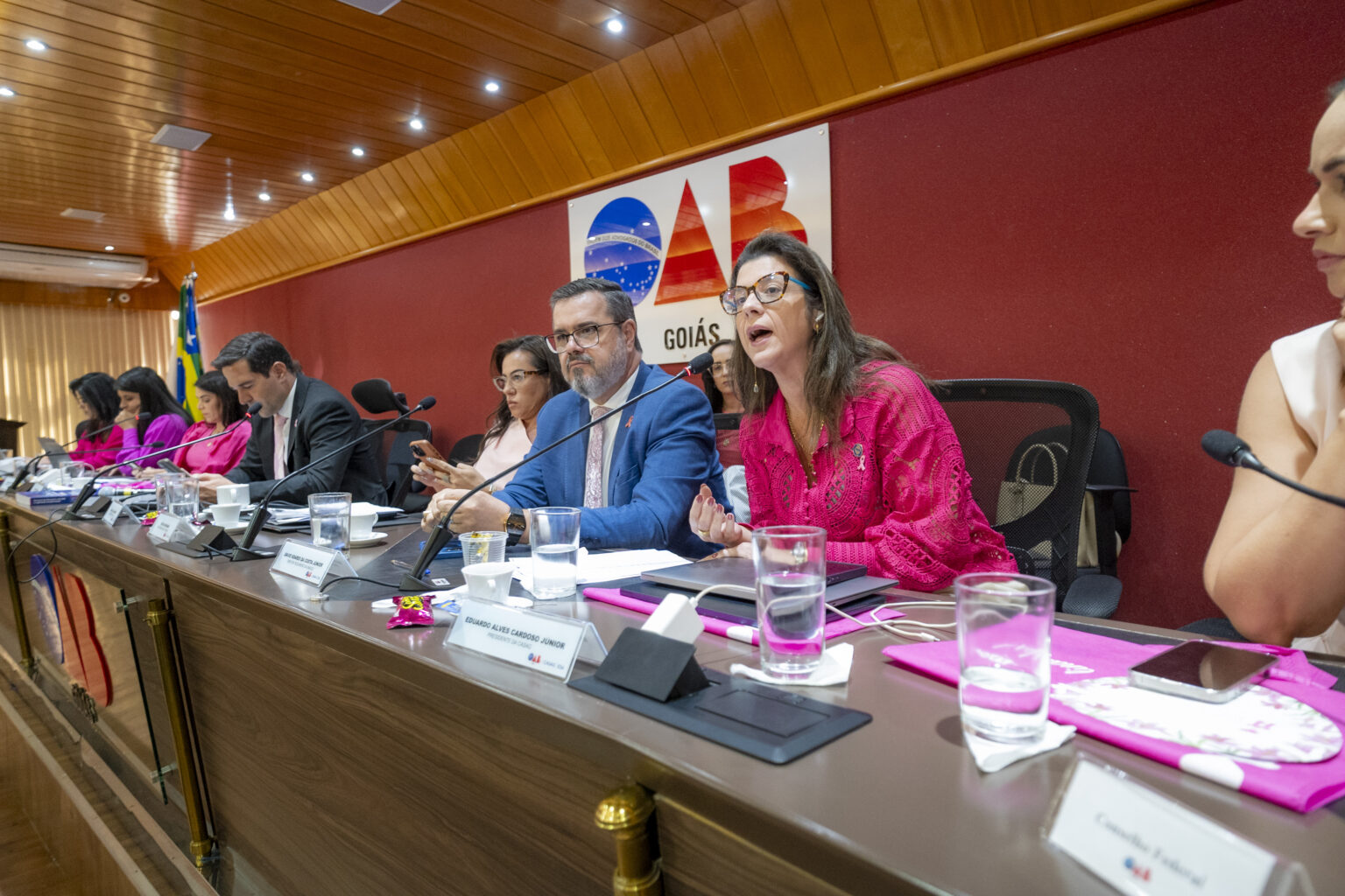 OAB-GO estende auxílio-maternidade para mães de natimortos
