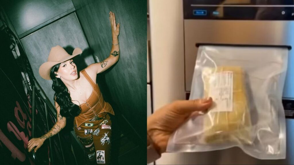 Ana Castela surpreende ao mostrar geladeira de R$ 30 mil que embala alimentos a vácuo