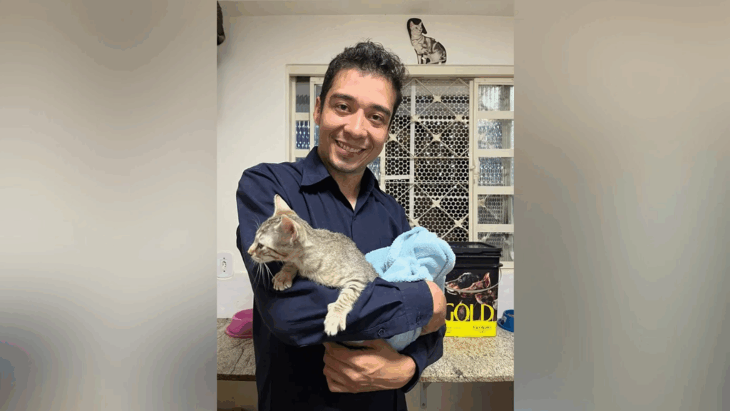 Justiça do DF solta psicólogo acusado de torturar e matar gatos