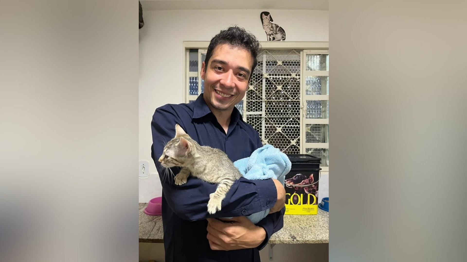 Justiça do DF solta psicólogo acusado de torturar e matar gatos