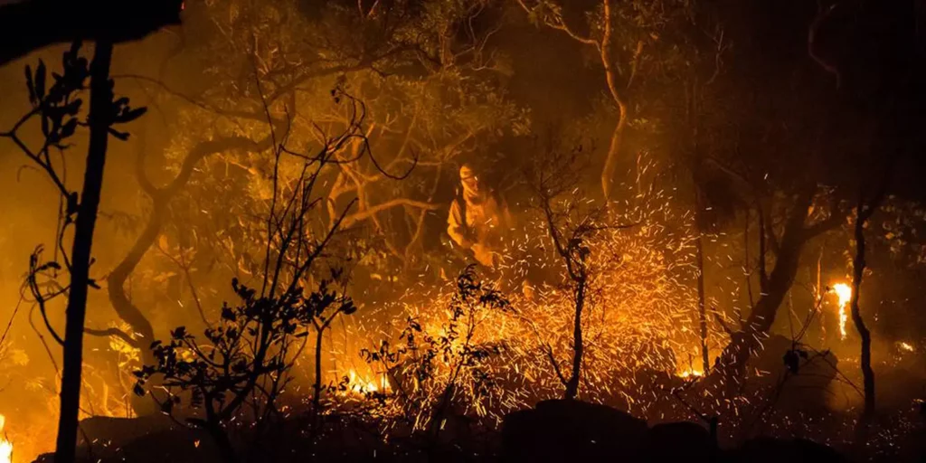 Chapada dos Veadeiros: fogo já consumiu 111 mil hectares