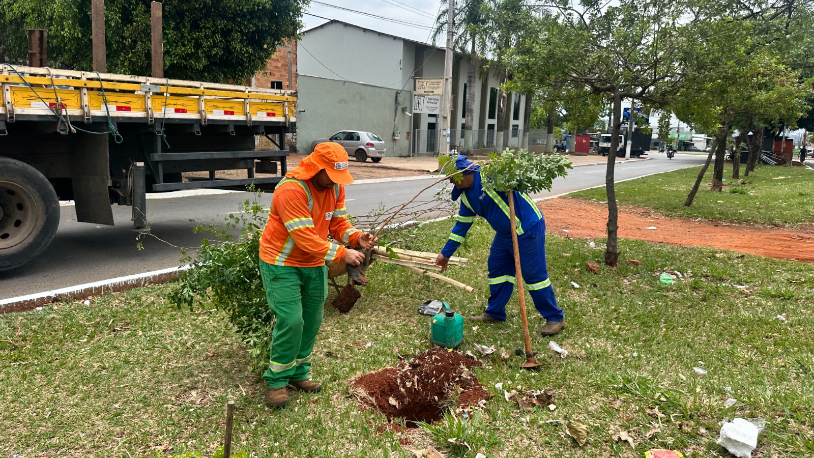 Plano de arborização prevê plantio de 6 mil árvores em Goiânia até abril de 2026