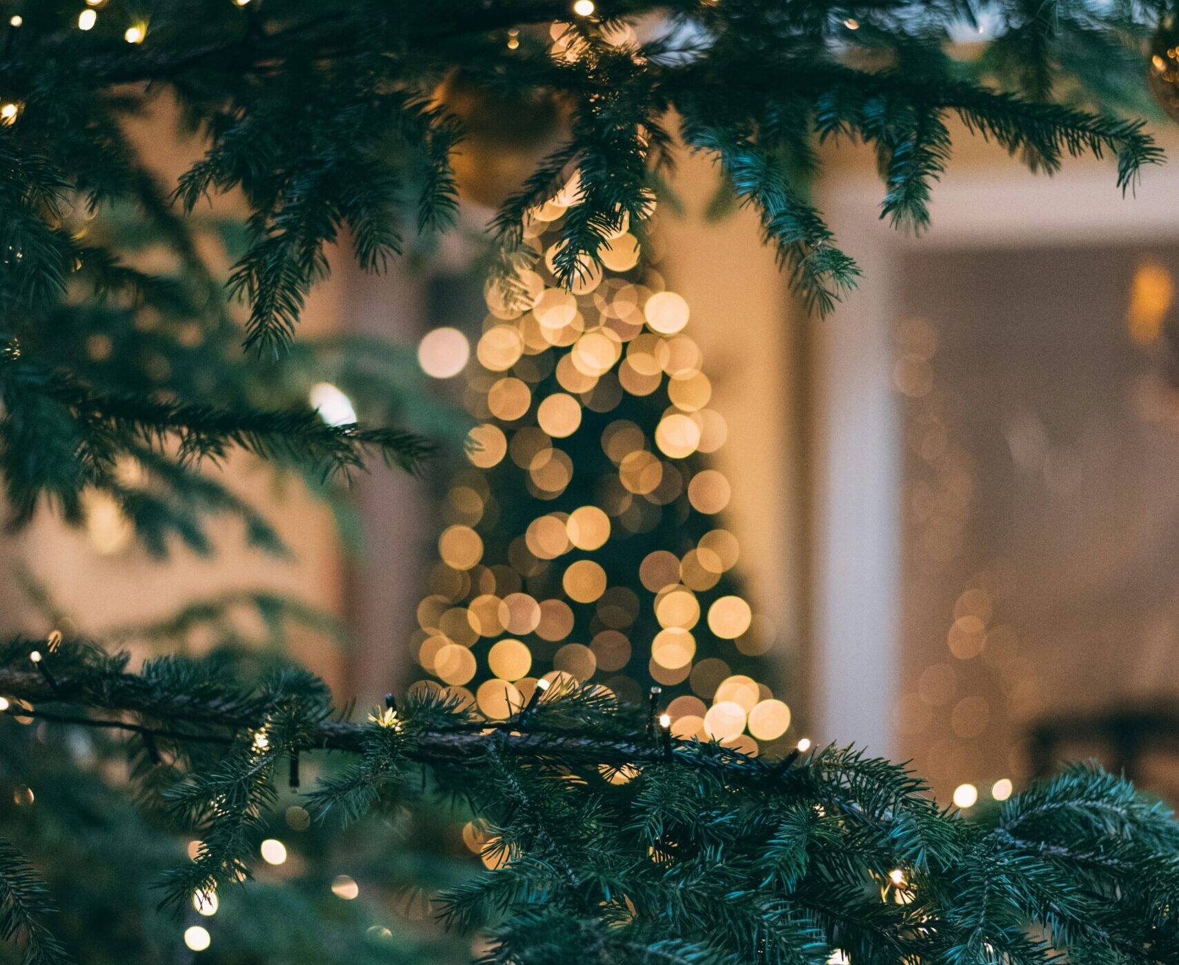 Conheça 5 curiosidades surpreendentes sobre o Natal pelo mundo