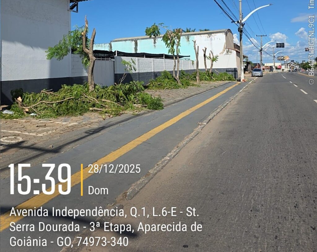 Aparecida apreende caminhões da Equatorial por mutilação de árvores em vias públicas