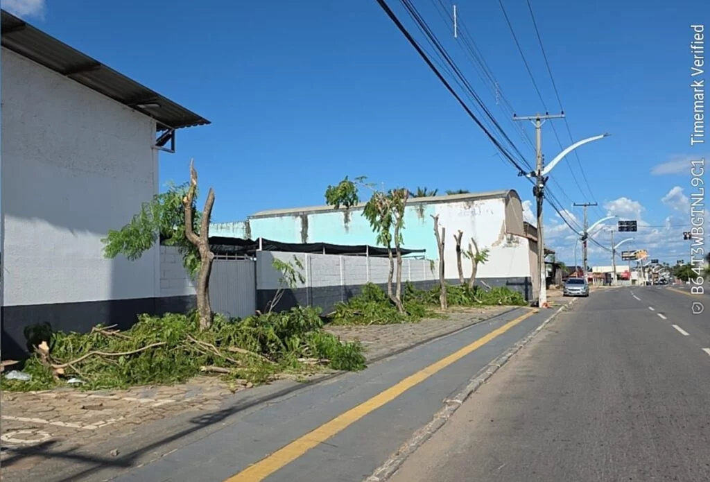 Aparecida apreende caminhões da Equatorial por mutilação de árvores em vias públicas