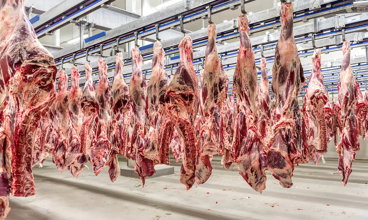 Exportação de carne: Brasil negocia cotas individuais com China