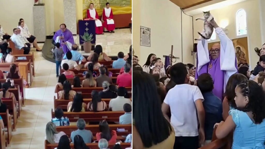 Criança pede bênção para gato durante Missa no Ceará e vídeo viraliza