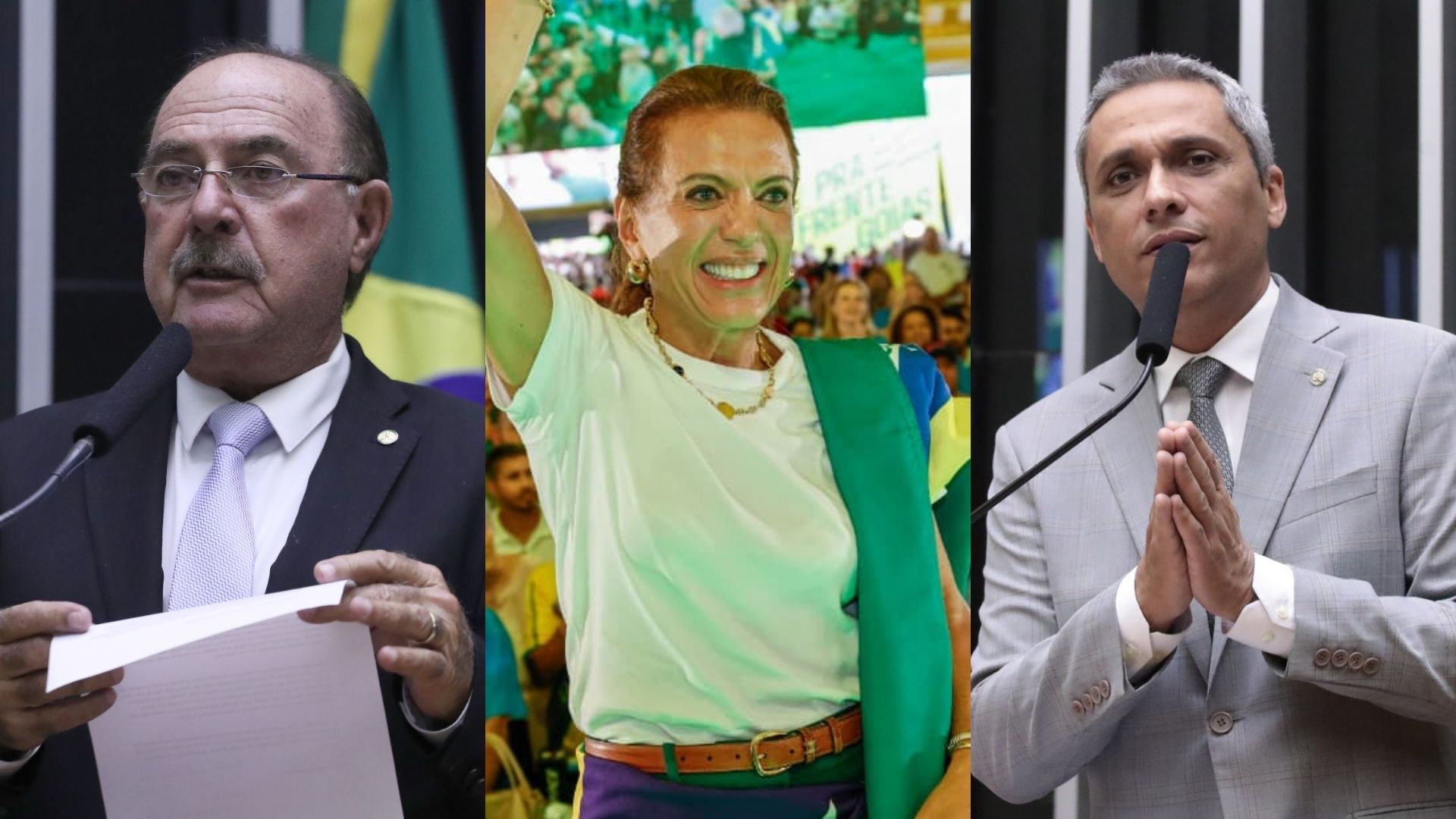 Gracinha Caiado lidera disputa ao Senado, aponta pesquisa