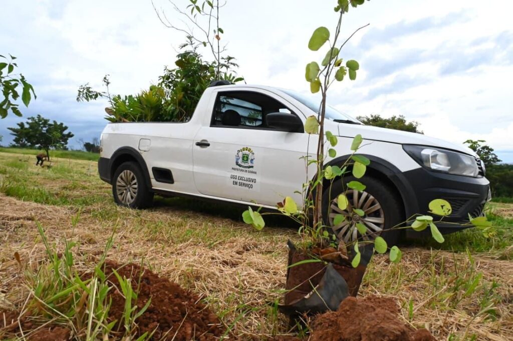 Goiânia planta 4 mil mudas para neutralizar emissões de carbono do MotoGP 2026