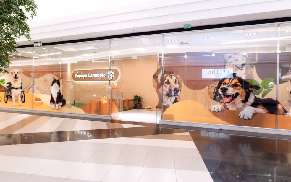 Shopping de Goiânia ganha espaço pet com adoção de cães