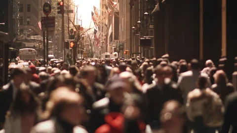 A resposta para todas as perguntas políticas está aqui