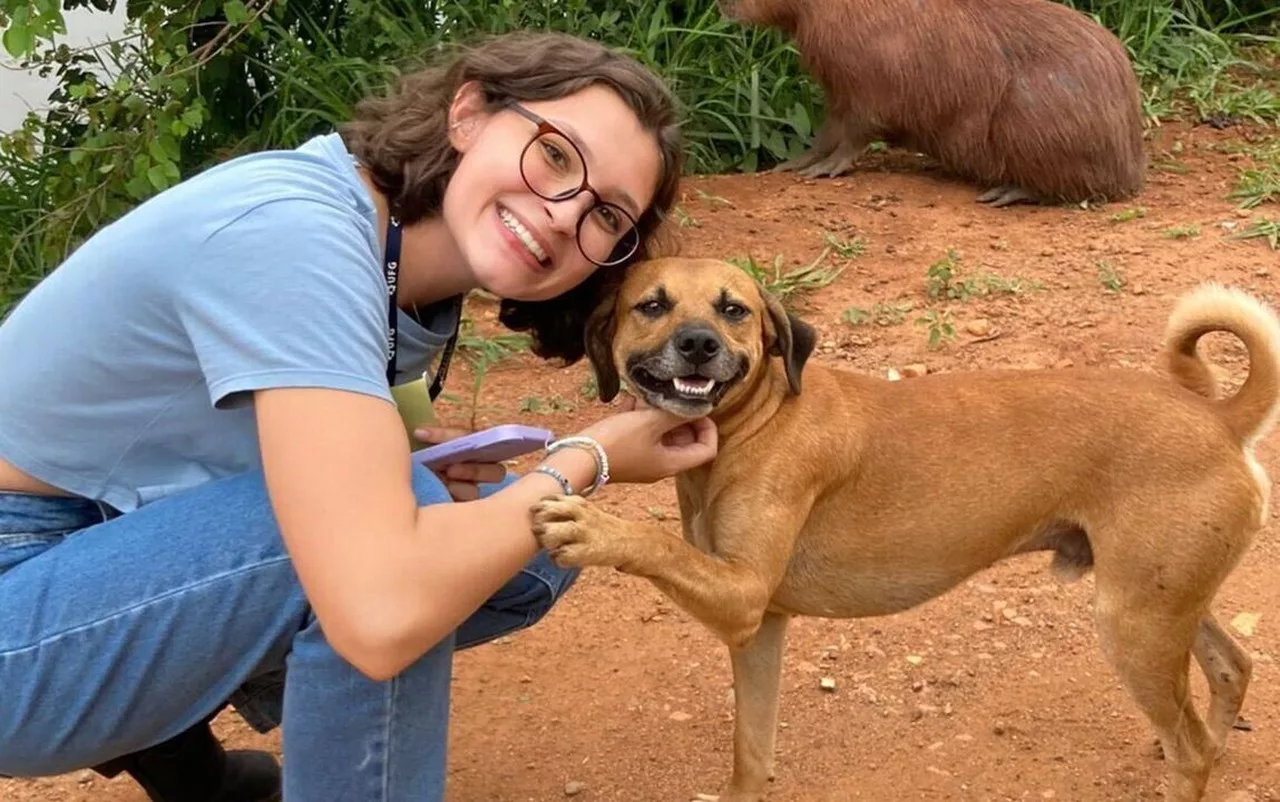 México ‘roubou’ o caramelo? Brasileiros indignados nas redes sociais