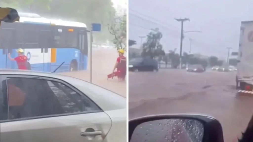 Goiânia contabiliza estragos após temporal de 100mm e 25 quedas de árvores
