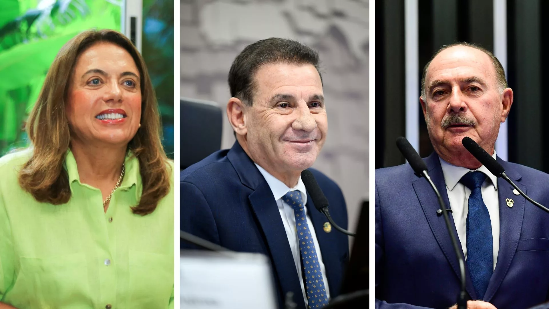 Gracinha Caiado lidera disputa pelo Senado; Vanderlan e Zacharias Calil vêm na sequência