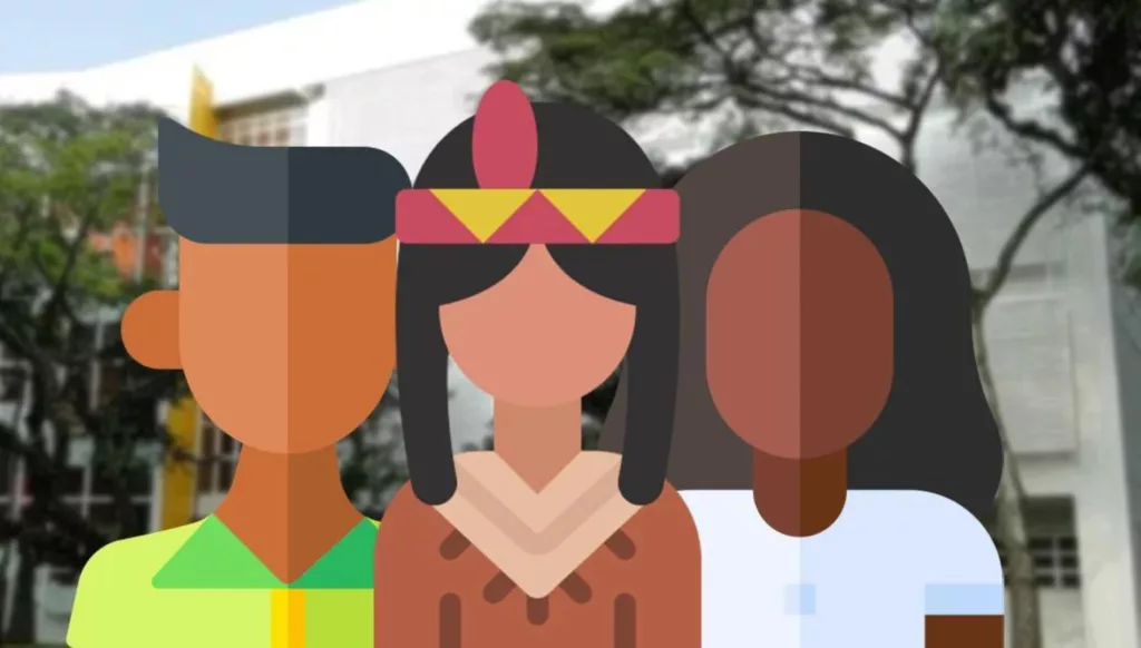 STF derruba lei anti-cotas de Santa Catarina