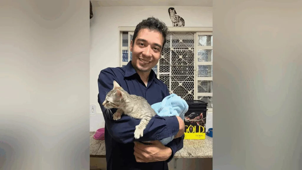 Justiça do DF condena psicólogo a 9 anos de prisão por maus-tratos e sumiço de 17 gatos