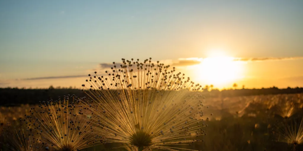 Quero falar de utopia