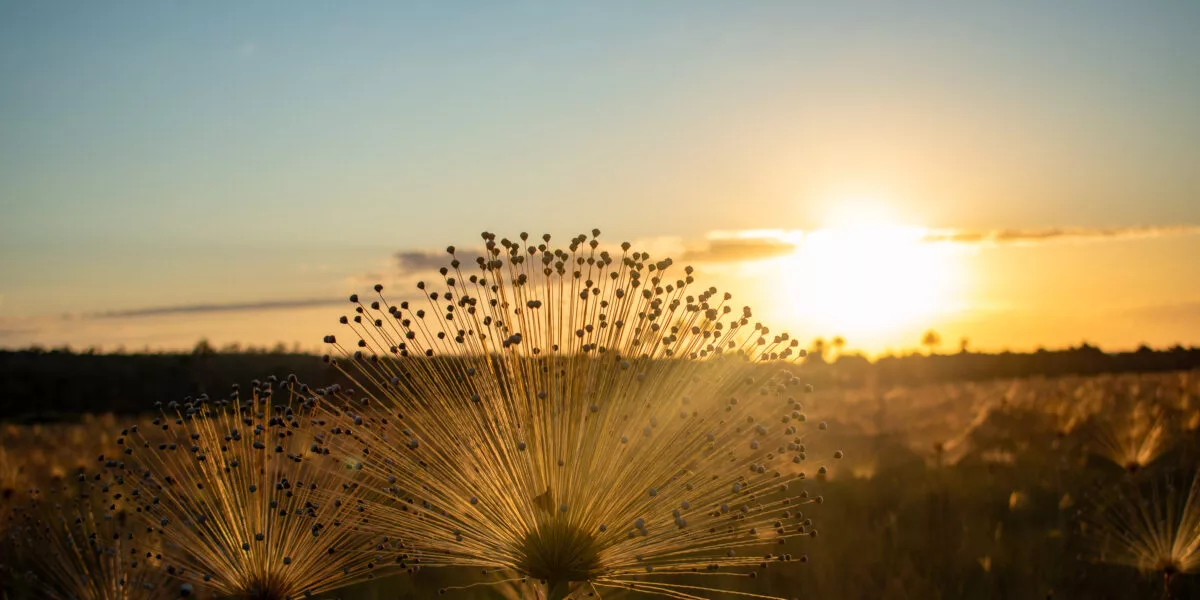 Quero falar de utopia