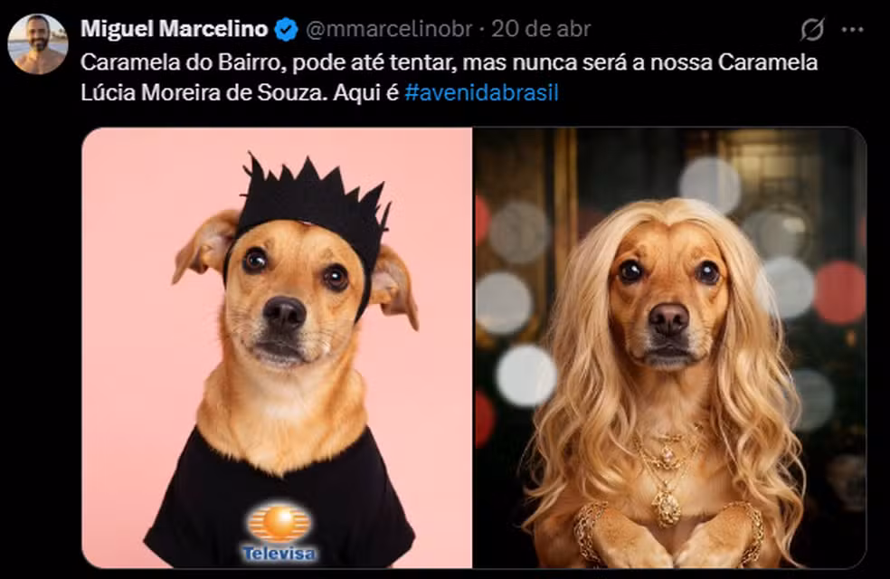 captura de tela 2026 04 23 101856 | PortalGO