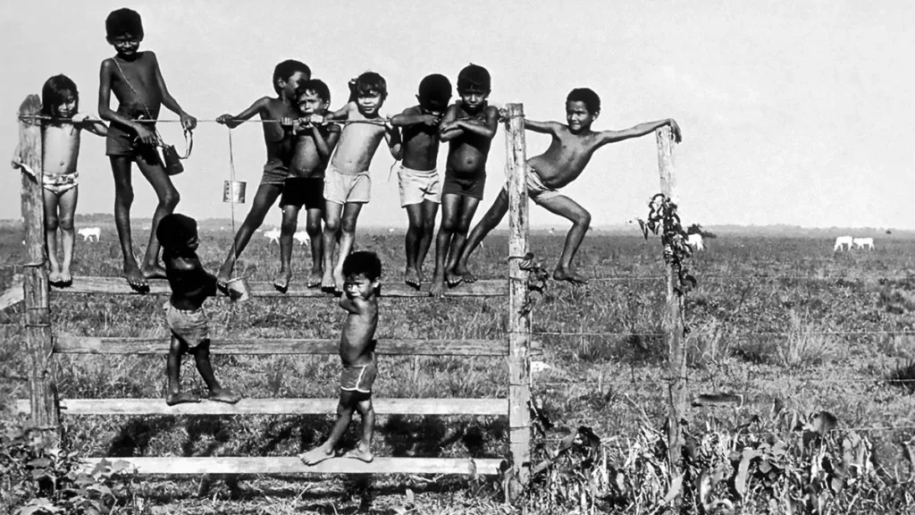 cc864ee1 fotografia | PortalGO