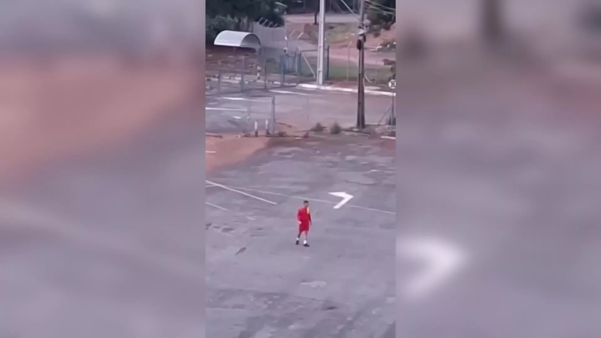 Bombeiro mata cão e alega legítima defesa após ataque no Serra Dourada em Goiânia