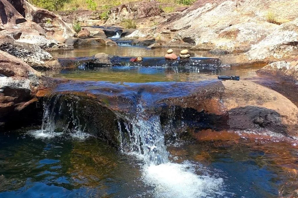 Pensamento, pouso no ninho, voo infindo