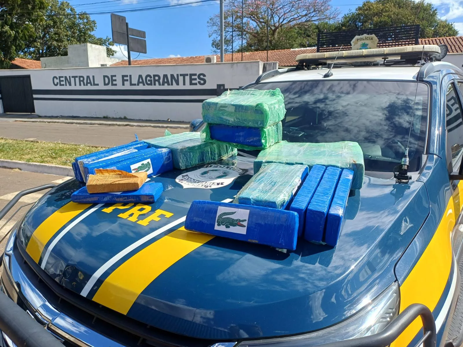 Nervosismo entrega “frete” ilícito de 50 kg de maconha em Trindade