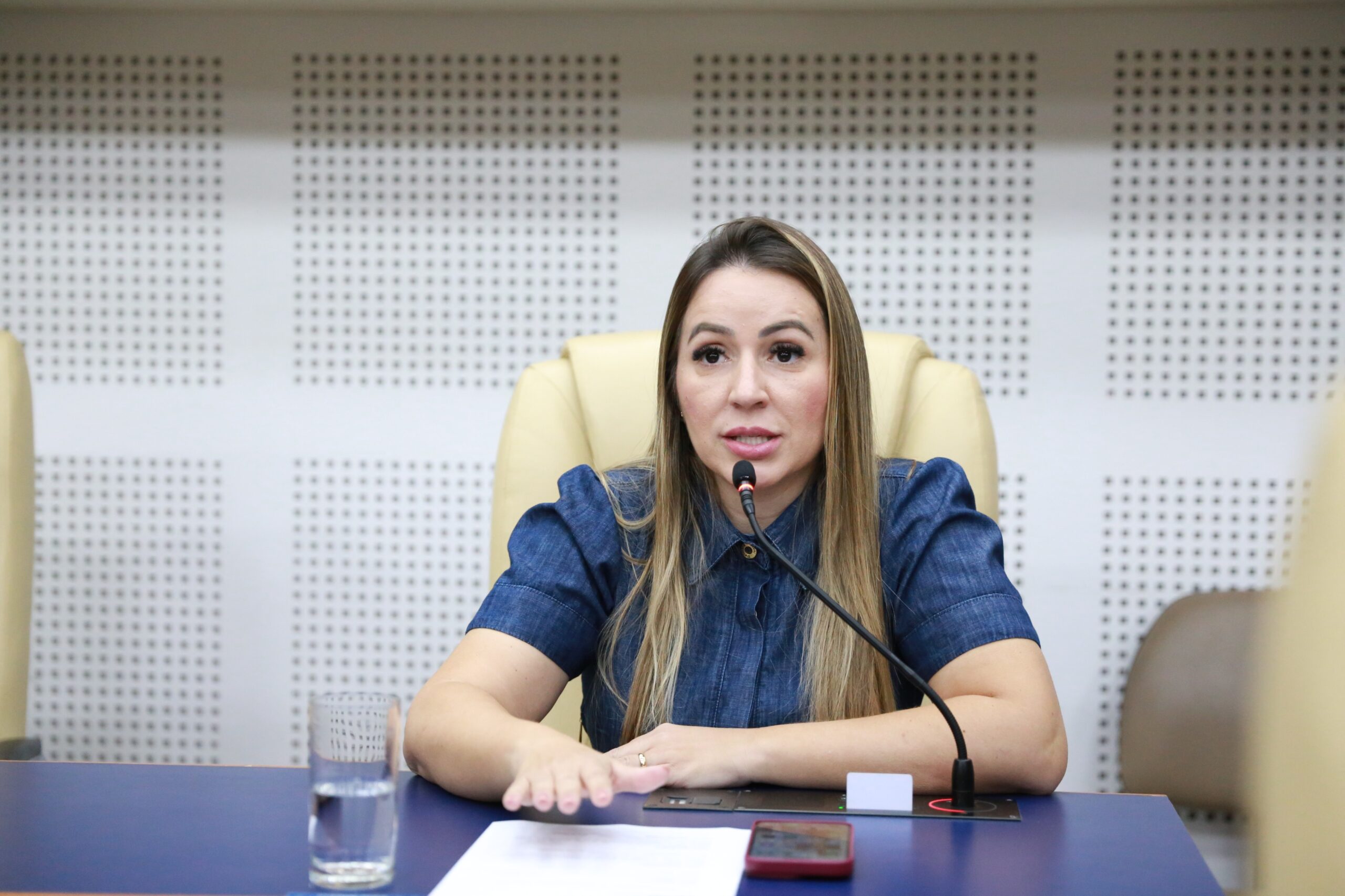 Léia Klebia reassume mandato na Câmara de Goiânia após prisão de Zander Fábio
