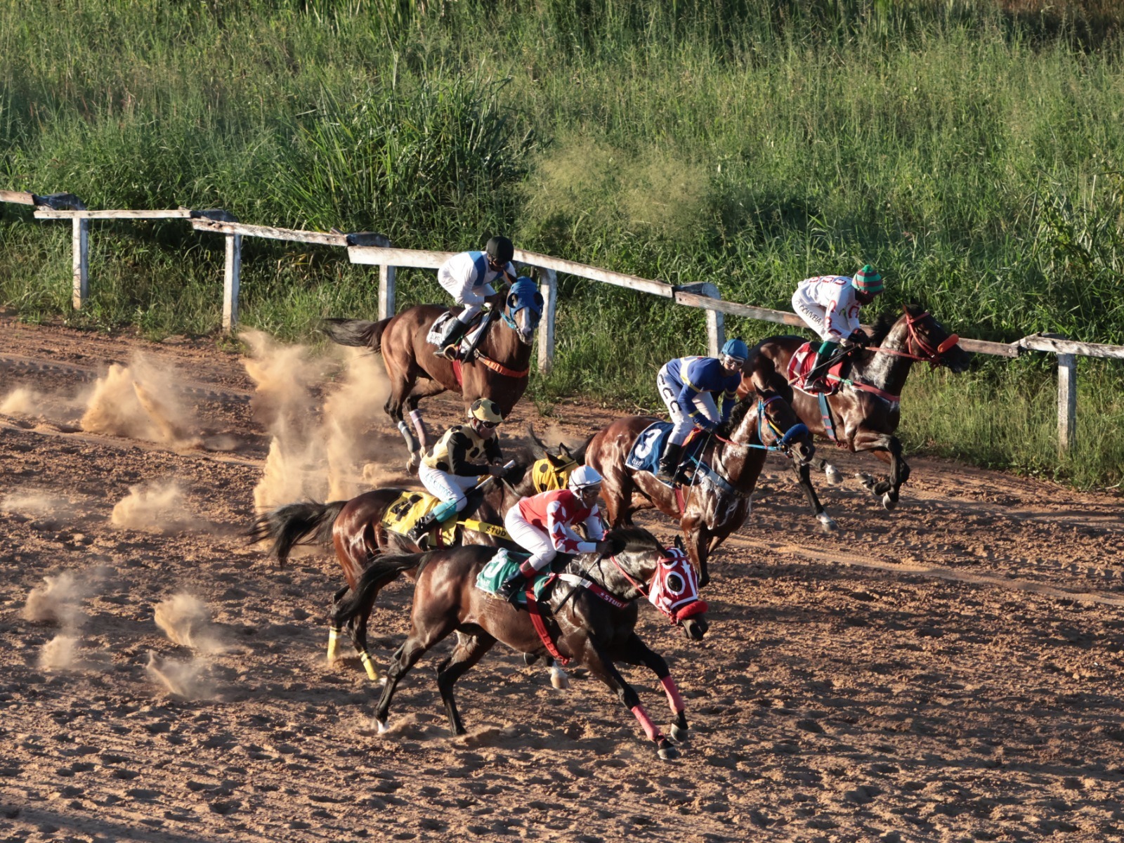 Hipódromo da Lagoinha sedia nova etapa da temporada de turfe neste sábado